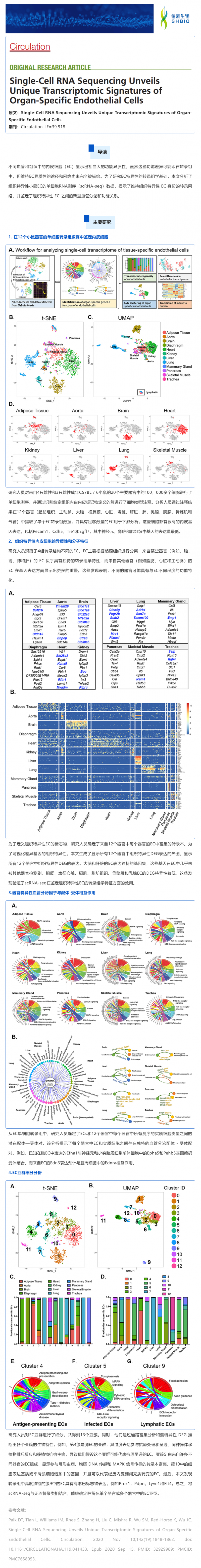 單細胞測序揭示器官特異性內(nèi)皮細胞的獨特轉(zhuǎn)錄組學特征