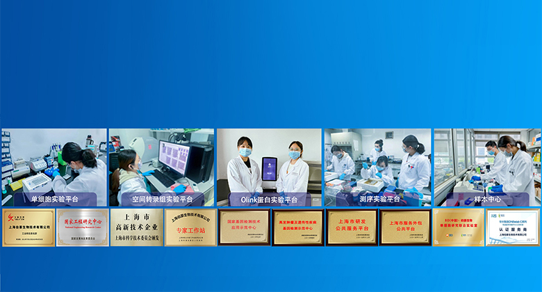 伯豪生物 服務(wù)科技創(chuàng)新，護(hù)航人類健康！m.gcrytu.cn