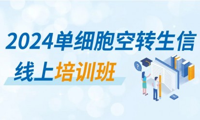 沖刺科研賽場 | 伯豪生物 2024 單細胞空轉生信培訓 8 月直播課開啟報名！