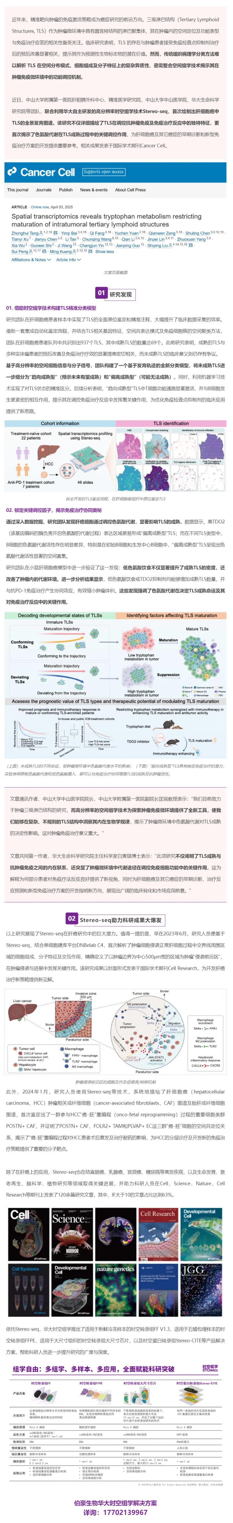 Cancer Cell _ 首個(gè)肝細(xì)胞癌中 TLS 的全景發(fā)育圖譜！Stereo-seq 助力肝癌研究再獲